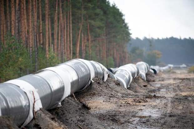 Посол Германии рассказал о перспективах реализации проекта «Северный поток – 2»