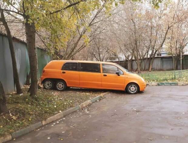 kartinok-prikolnyh-podborka-kartinki-smeshnye-kartinki-fotoprikoly