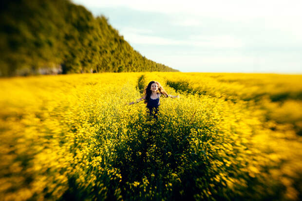 Особенная красота желтых полевых цветов. Автор фотографии: Алёна Теплова.