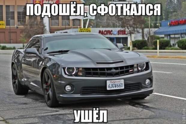 Приколы и приколихи.