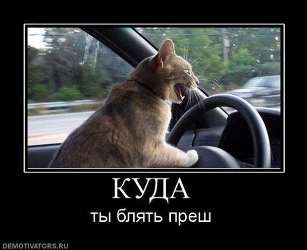 Всяко - разно 14 ))) Всяко - разно 14 )))