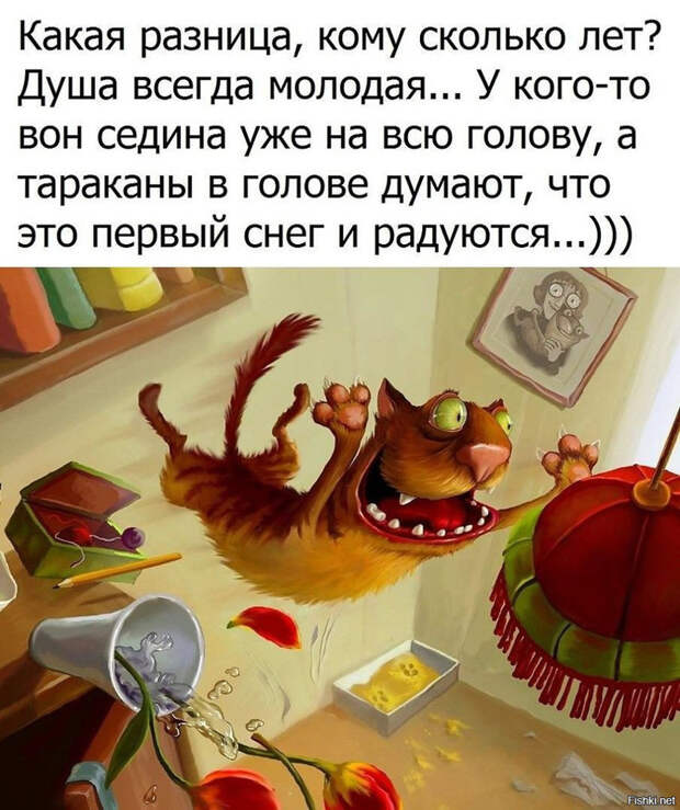 Весёлые фото на понедельник! приколы, фото, юмор