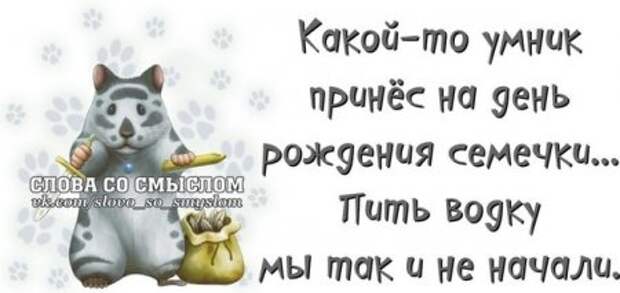 Веселые цитаты в картинках.