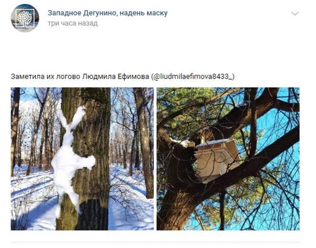 Фото дня: на Ангарских прудах поселились зайцы