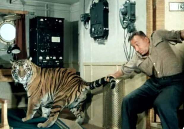 Кадр из фильма *Полосатый рейс*, 1961 | Фото: kinocomedy.livejournal.com Кадр из фильма *Полосатый рейс*, 1961 | Фото: kinocomedy.livejournal.com