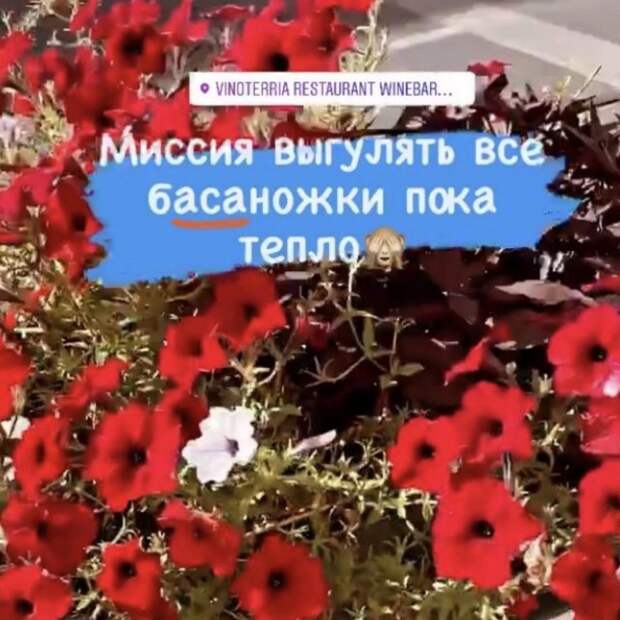 Ошибки и опечатки, которых можно было бы избежать