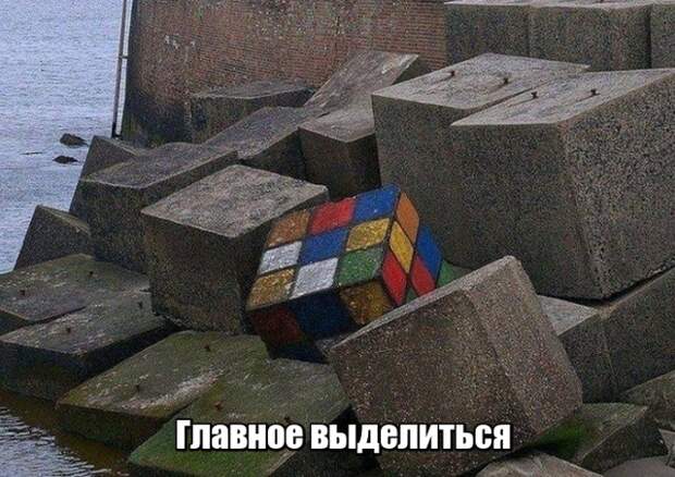 Подборка картинок. Дневной выпуск (23 фото)