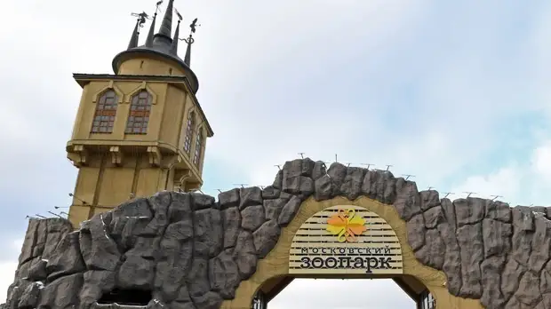 Московский зоопарк рассказал о режиме работы в новогодние праздники