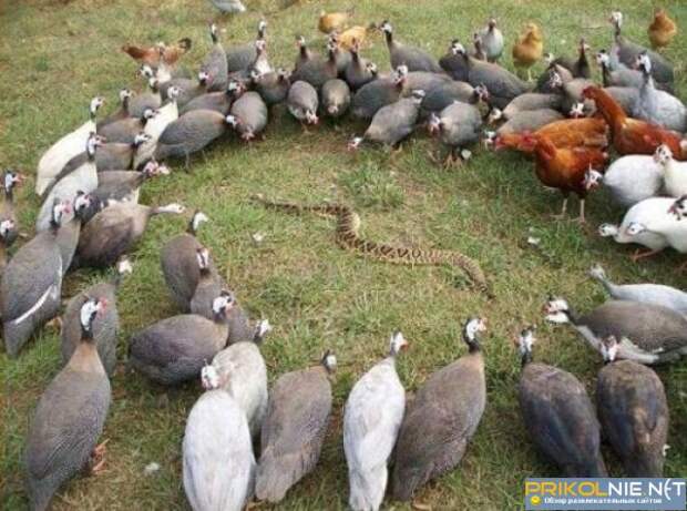 Странные и необъяснимые фотографии