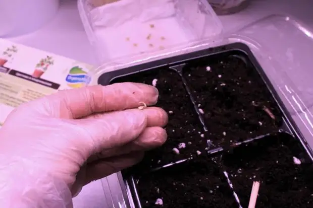 �������������� ������ ����� ������