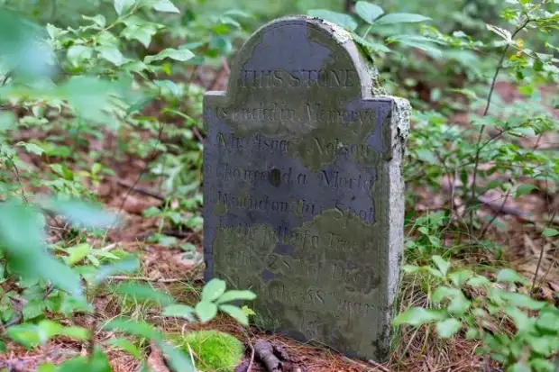 Разные неожиданные и жуткие находки в лесу