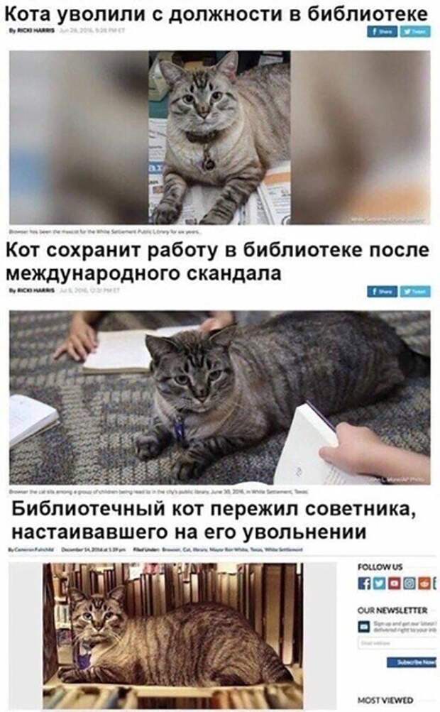 Прикольные и смешные картинки