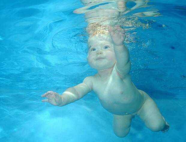 mladenu0 800x610 Плавающие под водой младенцы