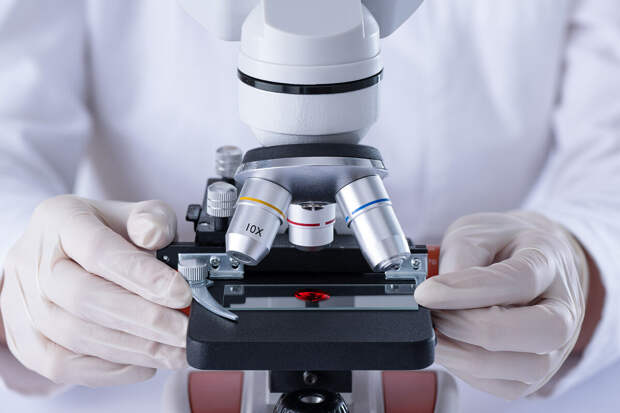 ПНИПУ: создана первая точная модель для портативных ПЦР-тестов