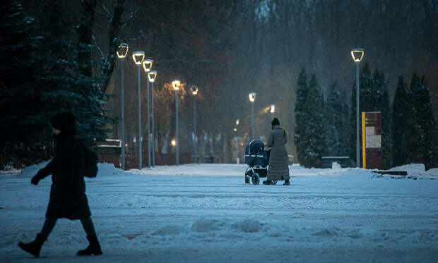 Александр Новиков анонсировал новый рейд по Смоленску