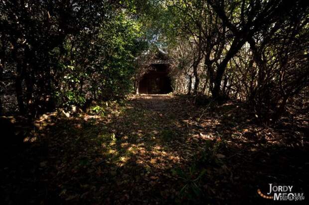 Увядающий дом