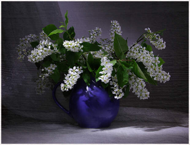 Ceremuxa23 (700x535, 404Kb)