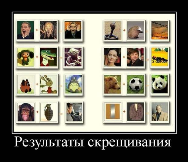 Демотиваторы (30 фото)