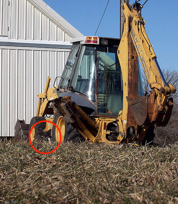 find-hidden-cat-camouflage-hide-and-seek-catouflage-203