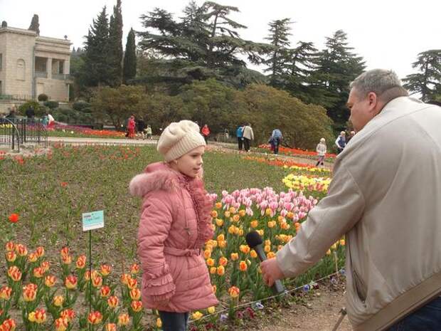 Диана рассказывает, что тюльпаны выращивает ее дедушка