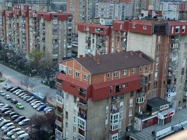 Смешные картинки 9 декабря 2021 года