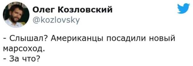 Менеджер по пропажам и полсобаки: подборка каламбуров и лингвошуток