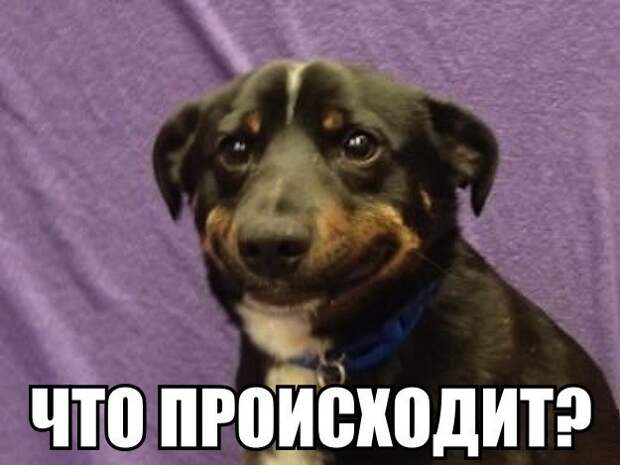 q9bzwiJV8lI