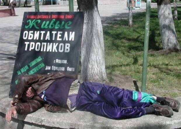 Забавные надписи и объявления Забавные надписи и объявления