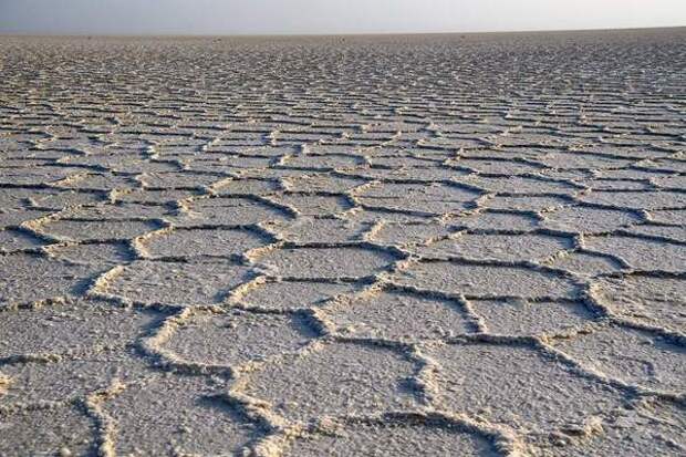 Данакильская соляная долина – самое безжалостное место на Земле Данакил, пустыня, соль, эфиопия