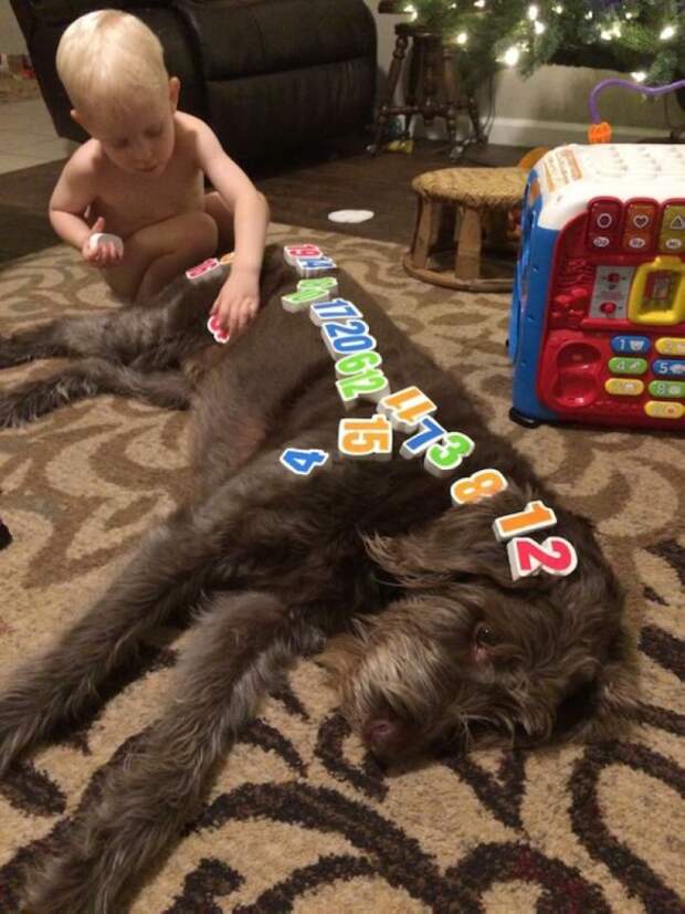 дети