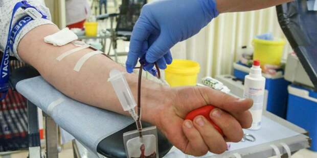 Ракова: Переливание плазмы крови может помочь в борьбе с пандемией. Фото: mos.ru
