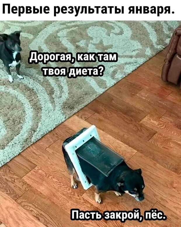 У кого-то слишком узкие двери. ))