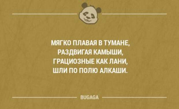 Прикольные фразы в картинках с надписями. Часть 64 (17 шт)
