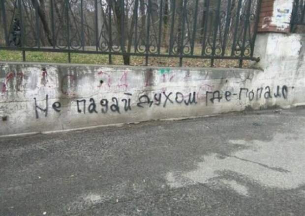 Несколько объявлений, которые моментально поднимают настроение