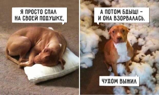 Прикольные картинки абавсём:D (08.07.16) Прикольные картинки абавсём:D (08.07.16)