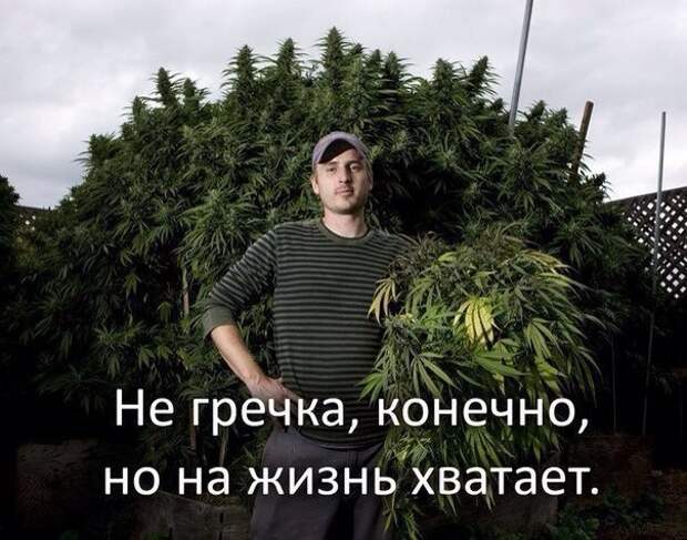 Смешные и прикольные картинки с надписями картинка с надписью, комментарии, прикол, соцсети