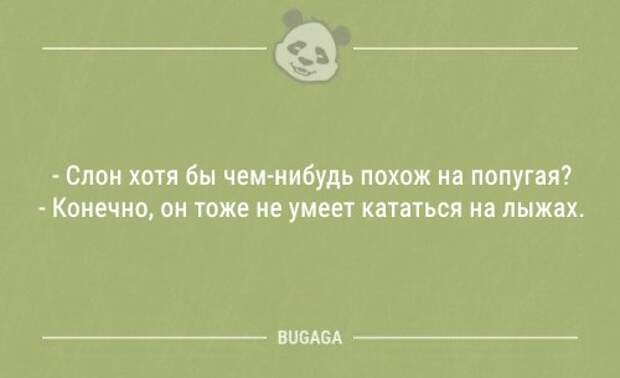 Смешные анекдоты в середине недели (9 шт)