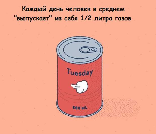 www.vsyako.net