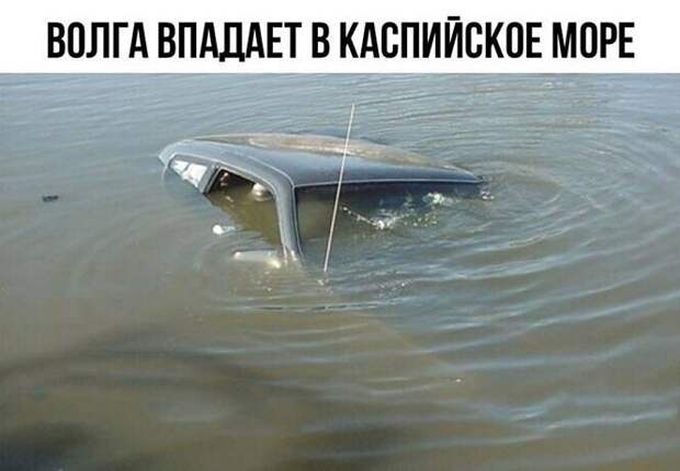 Картинки для улучшения настроения и поднятия тонуса Картинки для улучшения настроения и поднятия тонуса