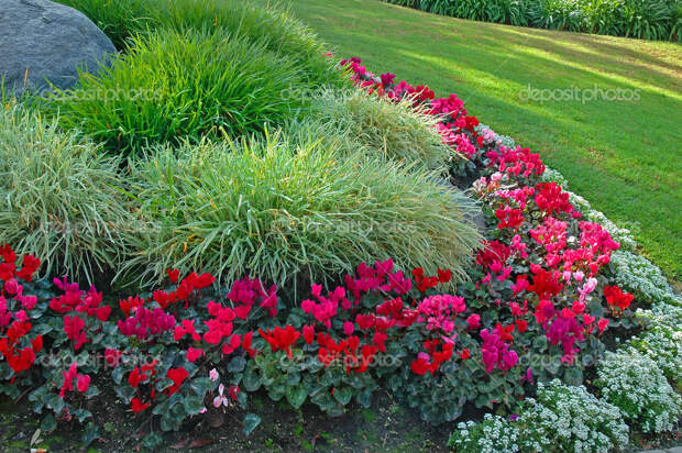 Perennial Garden - Stock Photo Verena Matthew #10410175