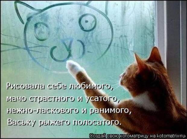 Новая отличная котоматрица (38 фото)