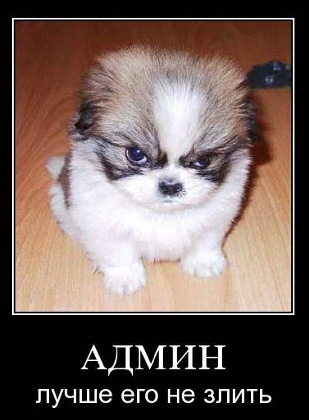 Давайте улыбаться вместе :) (18поводов)