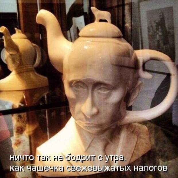 Кривые зеркала