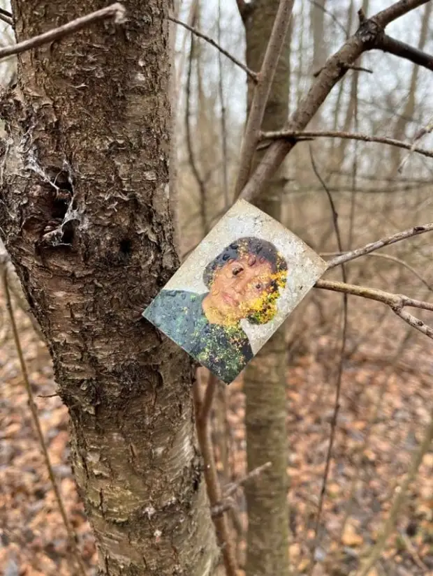 Разные неожиданные и жуткие находки в лесу