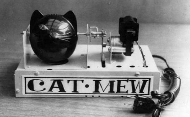 Машина, имитирующая кошачье мяуканье для отпугивания мышей, 1963 изобретения, история, курьезы