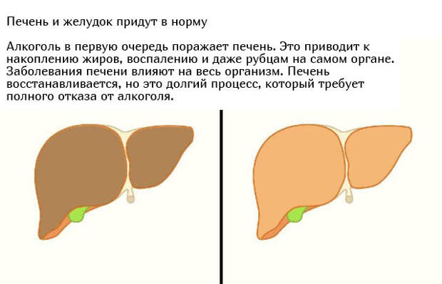 www.vsyako.net