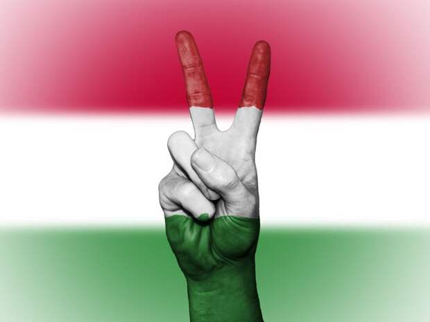 Венгрия начала блокировать все инициативы Украины в НАТО