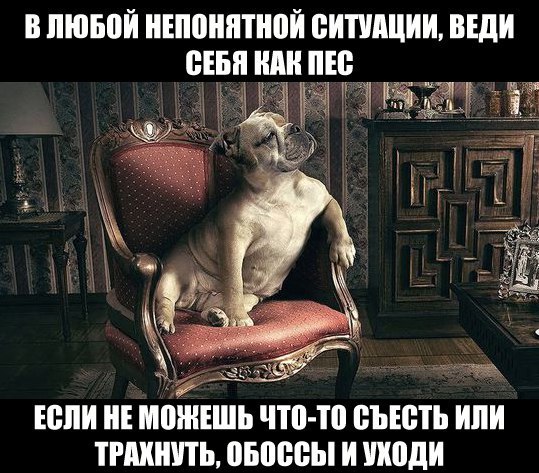 a5g6MgGt3rY