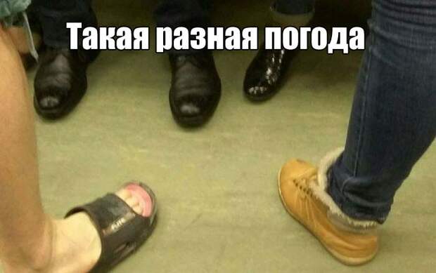 Веселые картинки с надписями до слез (12 фото) Веселые картинки с надписями до слез (12 фото)