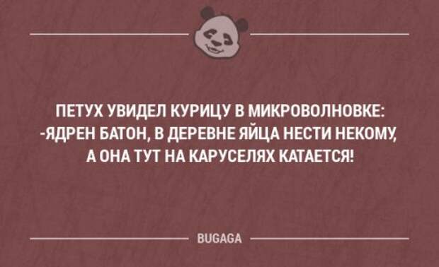 Прикольные фразы и забавные мысли. Часть 100 (20 шт)